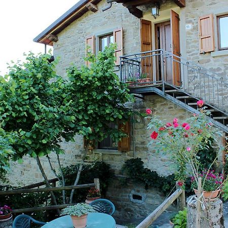 Agriturismo Casa Pallino Apartman Pratovecchio Kültér fotó